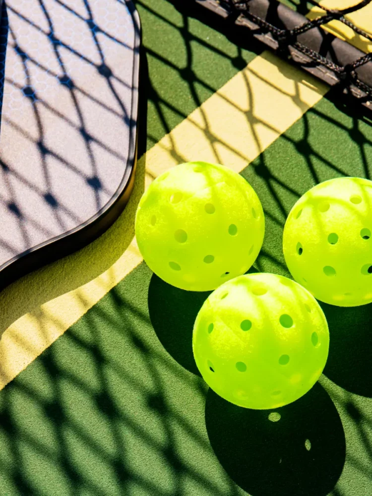 pickleball set